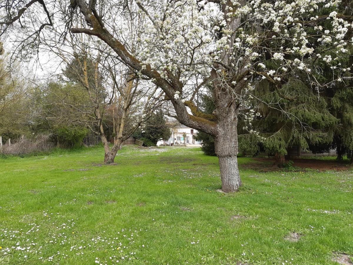 Bed and Breakfast Au Charme de l'Eure Villiers-le-Morhier Exterior foto